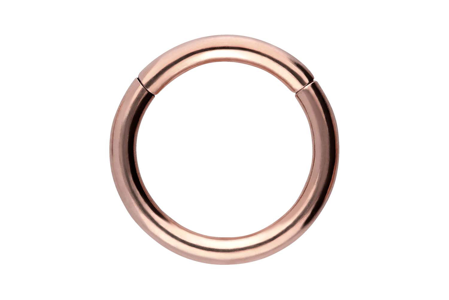 Chirurgenstahl Segmentring Clicker Piercing